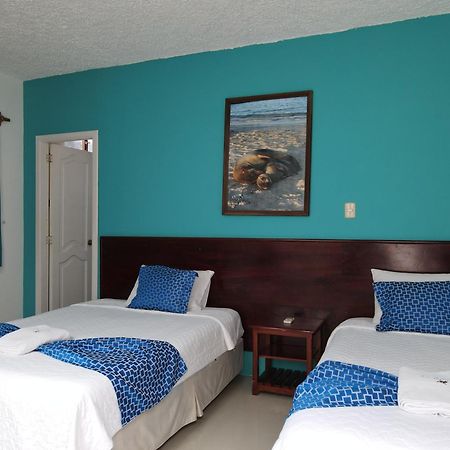 Hotel La Gran Tortuga - ᯤ Starlink Puerto Villamil Kültér fotó
