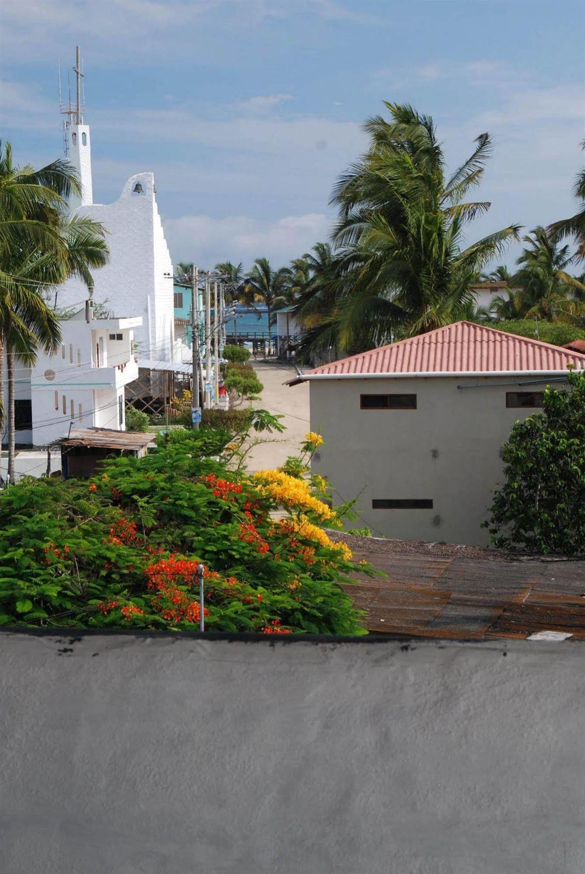 Hotel La Gran Tortuga - ᯤ Starlink Puerto Villamil Kültér fotó